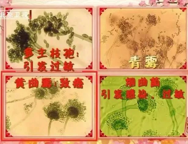 一级致癌物就藏在家里,一级致癌物就藏在你家床头