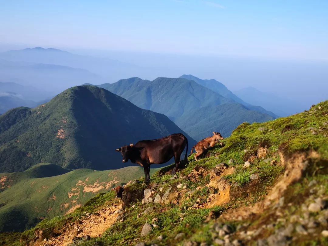 跟我走吧带你去旅行合拍,跟我走吧我带你去旅游完整版