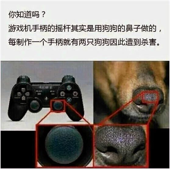 科技年轮｜手心里的手柄，多年后的回忆（中）