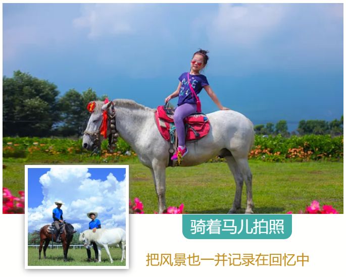 大理云海花海,大理花海漫步