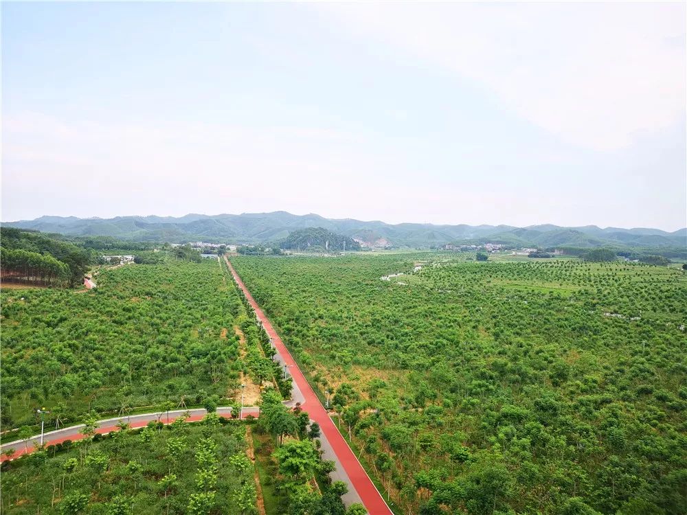 广西在别人眼中是什么样子的,南宁在广西人眼里