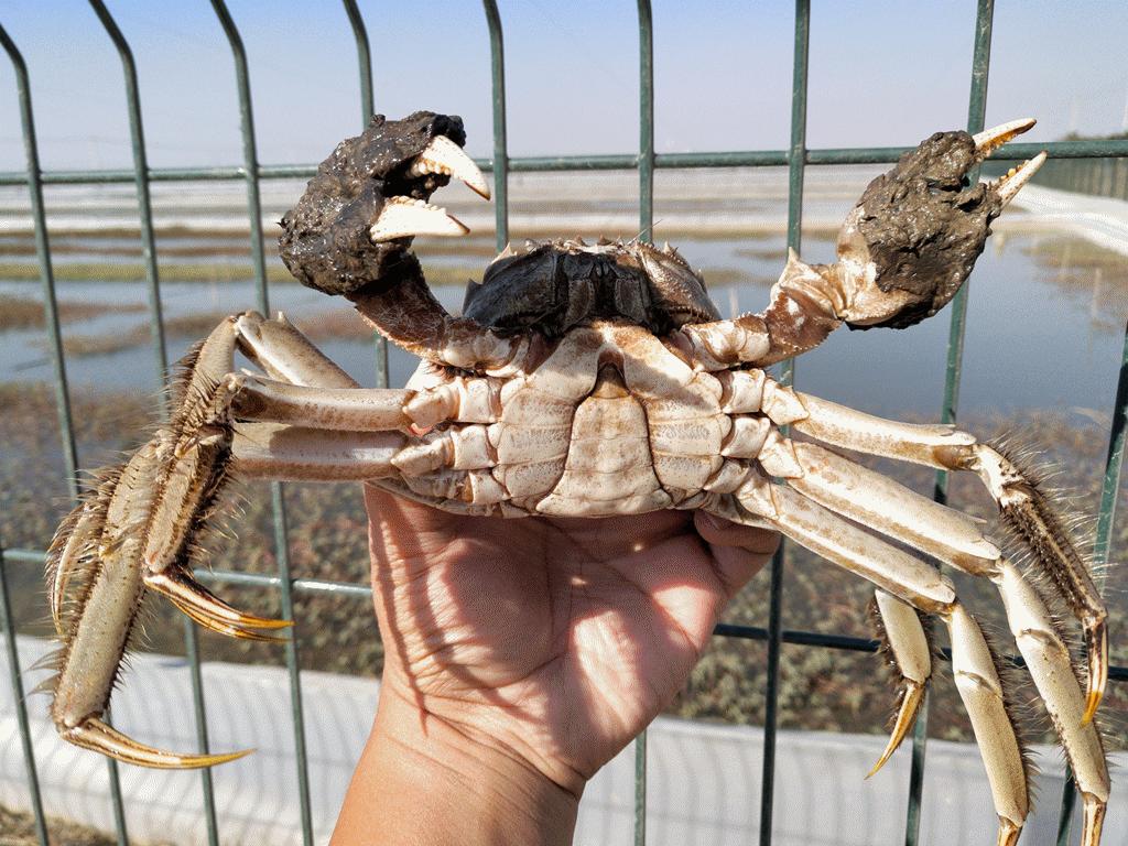 新闻早报实时播报电子版,新闻早报速递