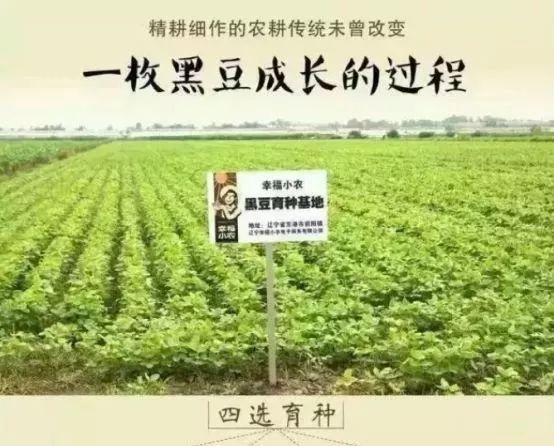 他用一块地做火2个产业，在冰葡萄田里把黑豆卖出4000万！