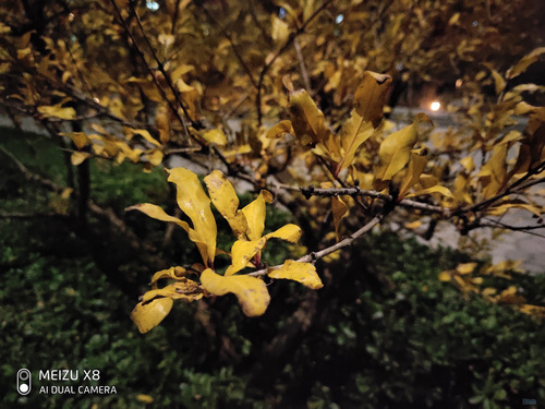 魅族x8打游戏可以使用刘海屏吗,魅族X8测评