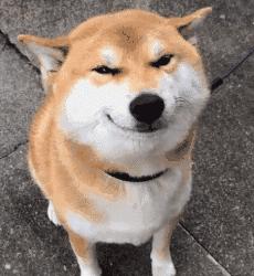 女士内衣怎么拍才好看,女士内衣如何拍摄