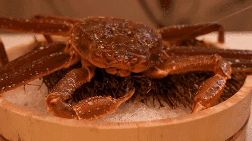 鏈濋矞榛勬捣娴烽矞,鏈濋矞娴峰煙鐗硅壊娴烽矞