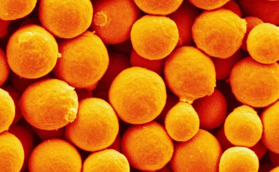 1000ml才100多的发酵水,补水修复效果秒千元大牌,什么来头?