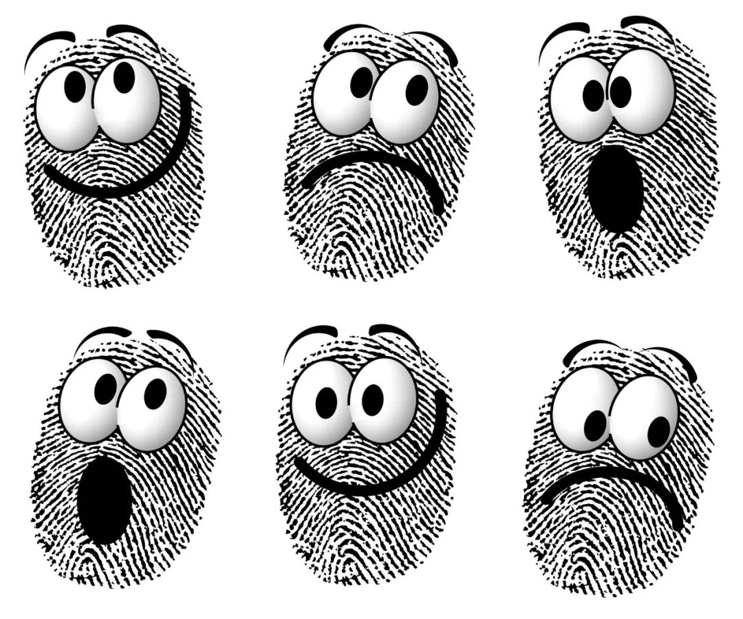 几个螺几个斗分别代表什么命,指纹几个斗