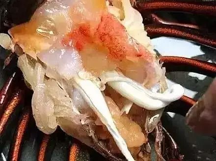 虾背有白线是寄生虫吗,虾头里的白线是寄生虫吗