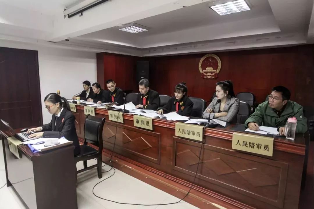 刑事附带民事公益诉讼案件获判,刑事附带民事公益诉讼庭审