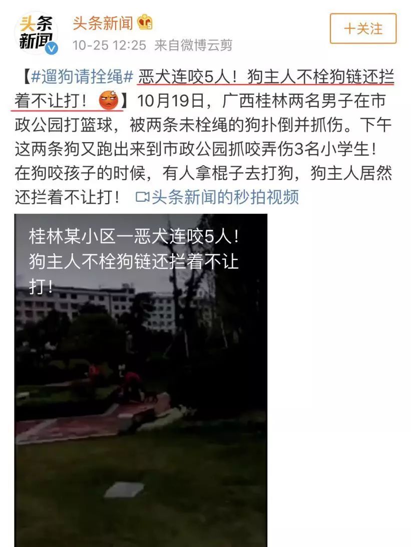 史上最严养狗令：早7点到晚22点禁止遛狗！网友吵翻了……