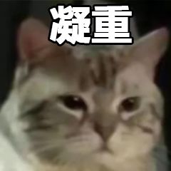 淘宝代购卖家判刑案例,淘宝店主索赔是真的吗