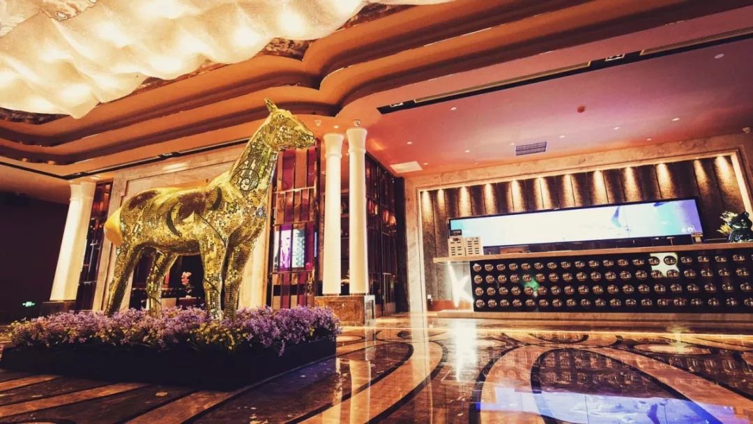 探店|876主播联名曝光这家“不正经”KTV——台北纯k