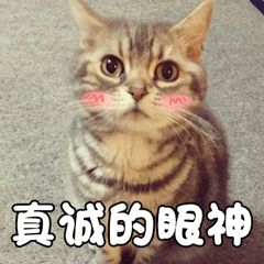 天天敷面膜的人会怎么样,天天敷面膜是护肤还是毁脸