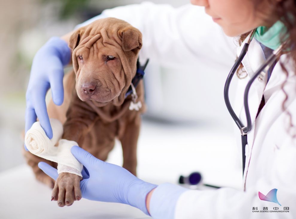 破伤风如何预防及处理,破伤风应该采取哪些防止措施