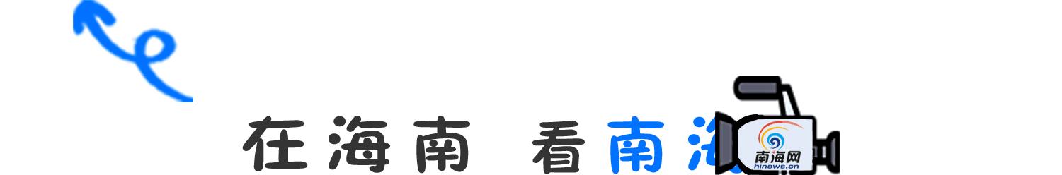 海南度假酒店优惠,海南10个必住酒店