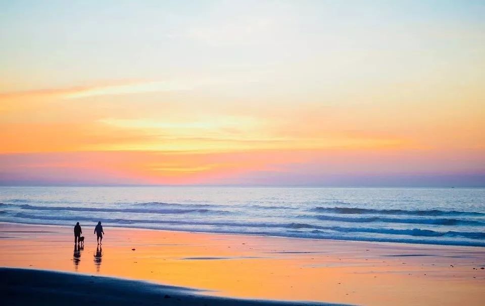 知乎高赞惊艳的教育方式,知乎高赞40个问答