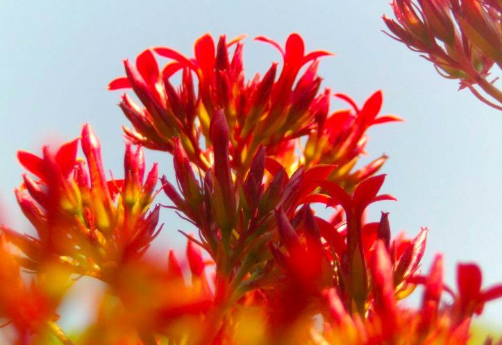 微晶法令纹贴抗皱纹提拉紧致面膜,淡纹抗皱法令纹面膜推荐