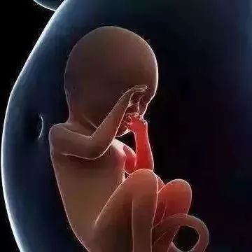 每天100个下蹲一个月后变化,下蹲10分钟锻炼方法