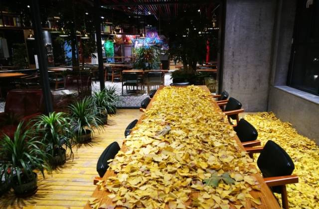 庄里饭店推荐餐厅有哪些,文庄附近适合约会的餐厅