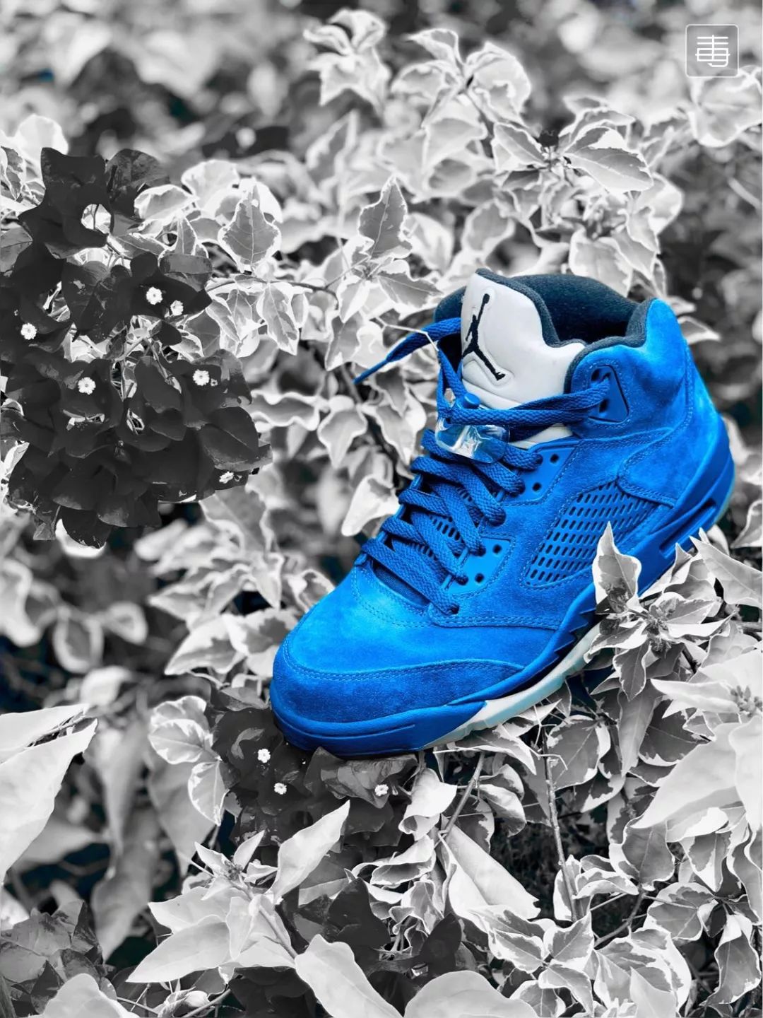 想在街头吸睛没有一双潮鞋怎么行,晒鞋子怎么拍照好看