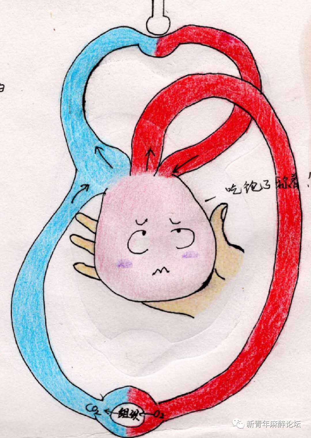 呼吸科普类视频制作,科普人体呼吸机制