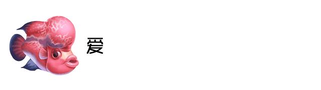 最简单的方法自制鱼缸背景,小型鱼缸制作全过程