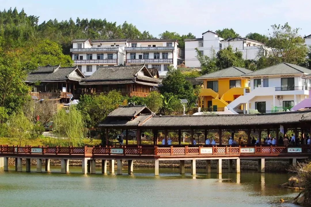 南宁哪里有摘火龙果的地方,南宁周边哪里有火龙果摘