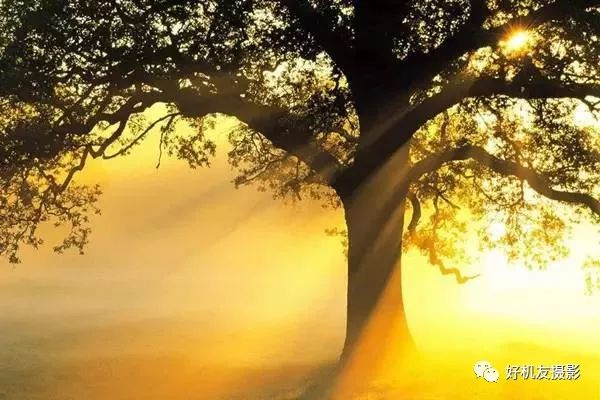 ps逆光拍摄人像脸部阴暗怎么解决,窗户逆光拍摄人像视频