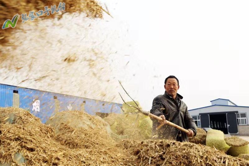驴脱贫致富新路径,脱贫攻坚养殖致富新路子