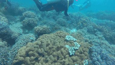 深圳网红景点马尔代夫,深圳马尔代夫沙滩附近游玩