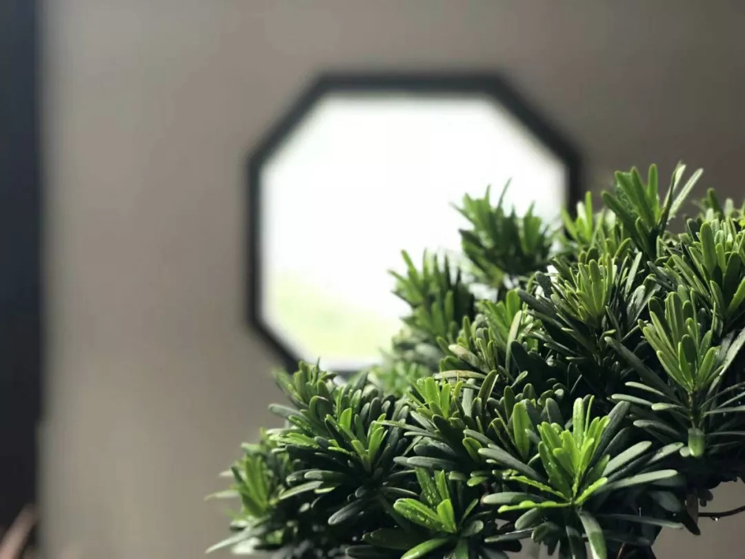 教育的经典对联大全集锦,最好的家教都写在这25副对联里