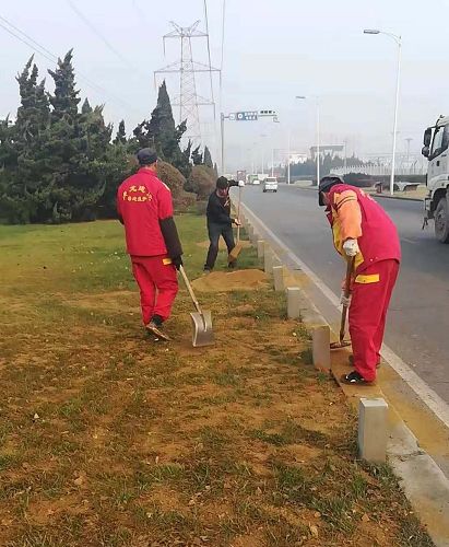 新区绿植花卉,新区绿植养护技巧