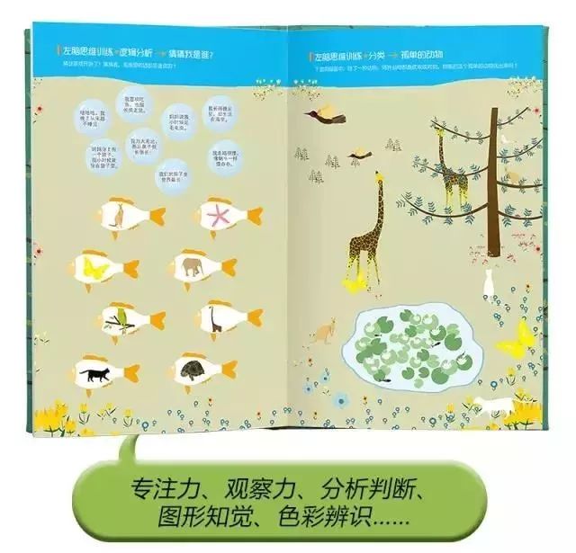 儿童书籍6-12岁全脑思维大挑战,让孩子不再沉迷于游戏的书