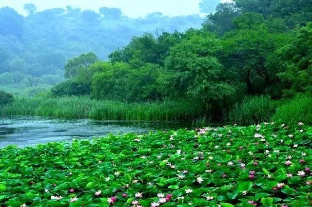 改革印记全文图片,通辽的旅游发展现状