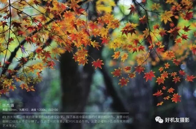 手机摄影如何调整光圈,摄影技巧光圈的应用