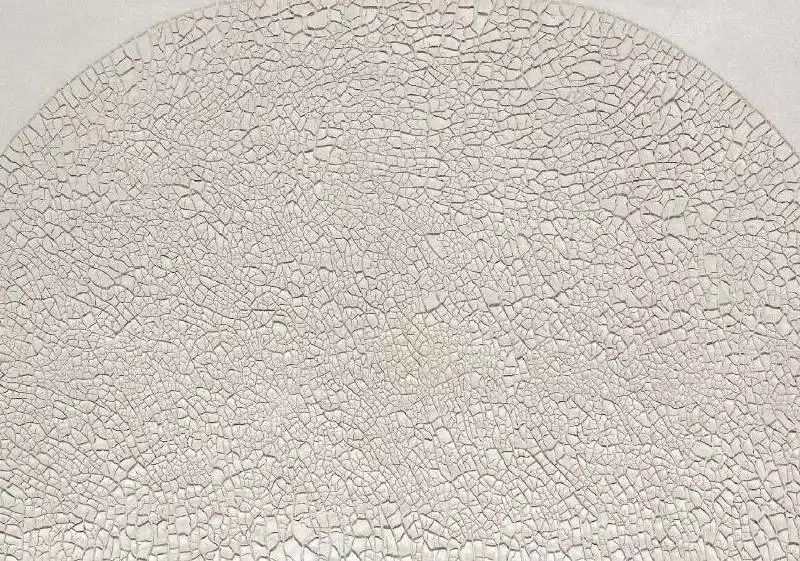 阿尔贝托布里诺利,阿尔贝托·布里尼奥利