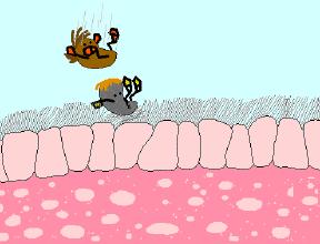 鼻炎克星鼻舒宁鼻通抑菌液,鼻炎克星宣肺通窍