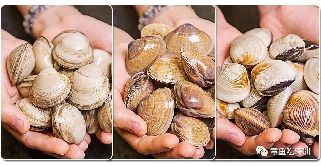 火锅界的黑马入侵东北大汉局，5.8折一个都跑不了