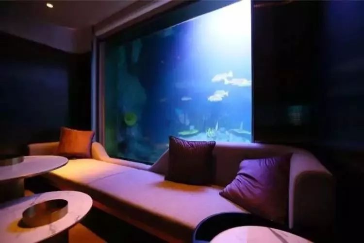 上海深坑酒店基础类型,上海深坑酒店攻略