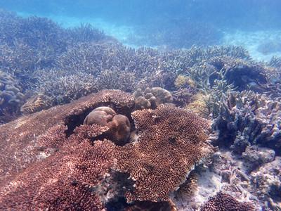 沙巴海岛娱乐项目,沙巴必玩攻略