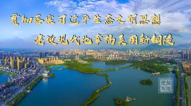 铜陵市青少年篮球队,铜陵市足球队有哪些人