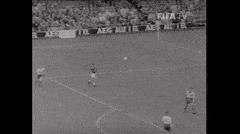 贝利纪录片球王传奇,世纪球王马拉多纳