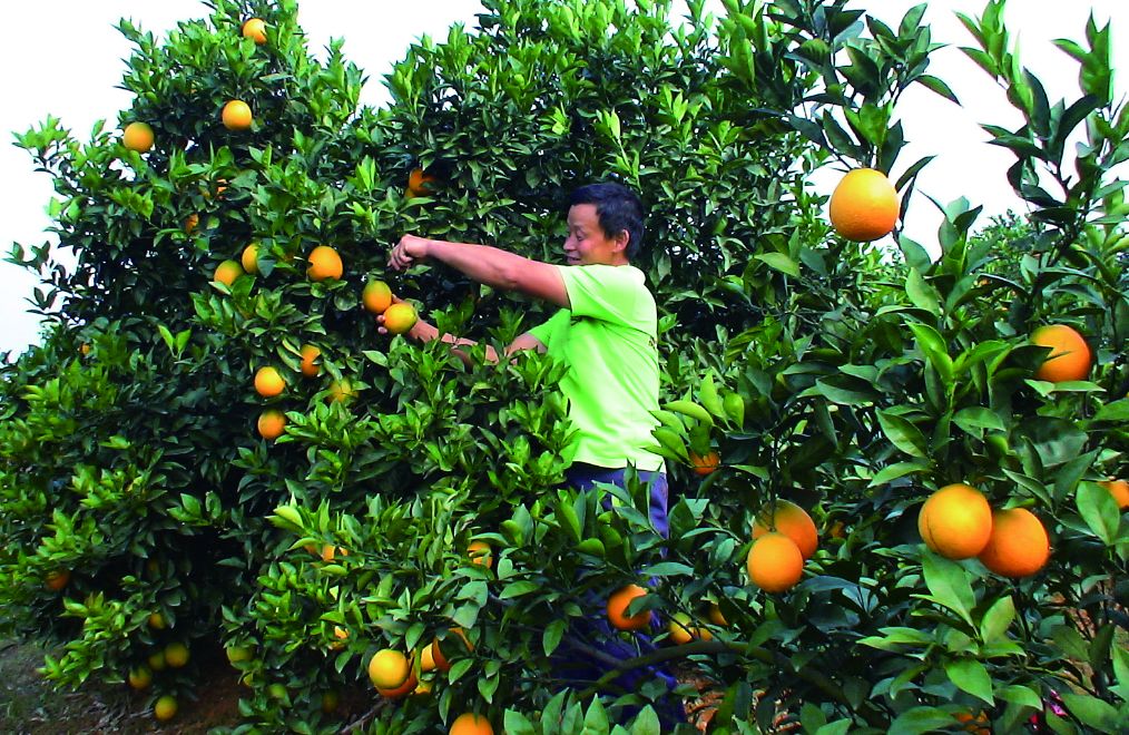 湖南省中小学生研学实践教育,中小学生研学基地长沙