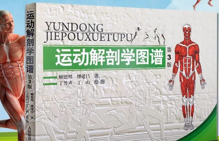 康复人必学的解剖教程/视频/电子书大合集，点击领取