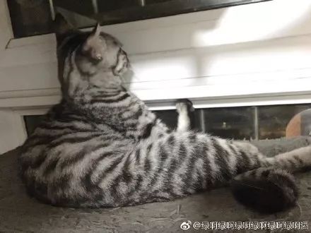 萌爪神吐槽馆,说你想说的