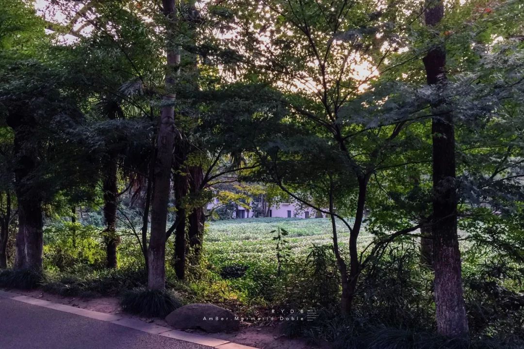 自称“射鸡师”！这个“不太正经”的设计师把酒店开了半个中国，今年终于到杭州了！