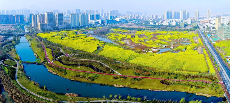铜陵能成为三线城市么,安徽铜陵是几线城市2019