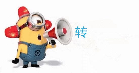 权威发布:2019年西海岸优化调整公交线路规划方案出炉!