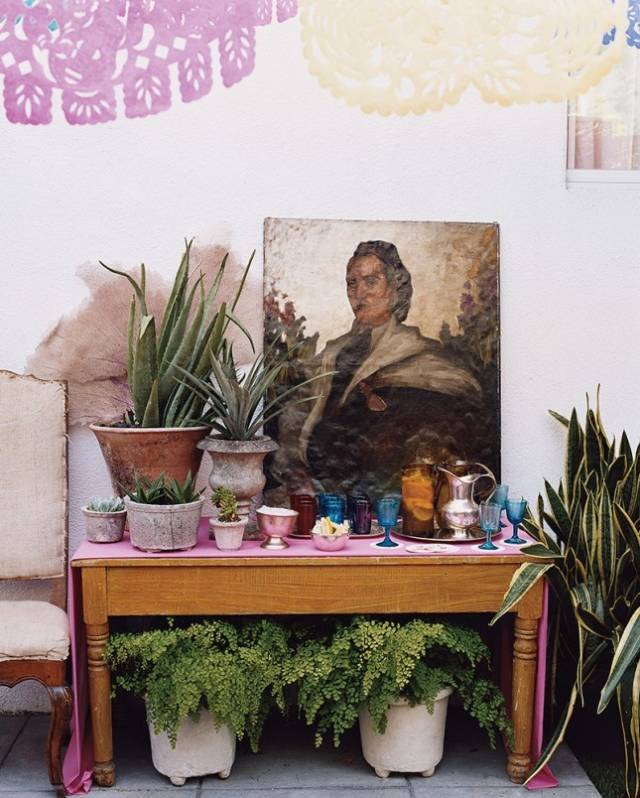 如何消除花肥的异味,无异味花肥